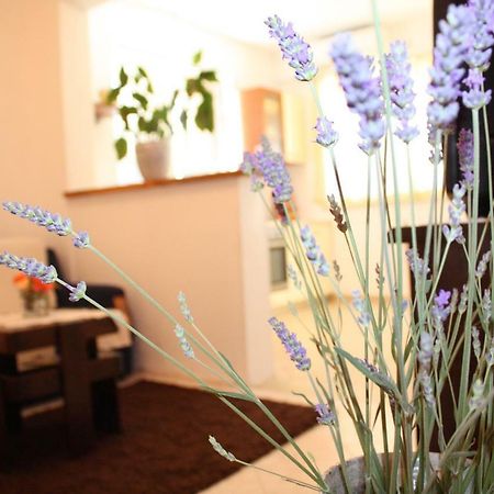 Apartment Anand Dubrovnik Kültér fotó